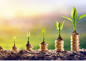 Chase Financial Services Ltd