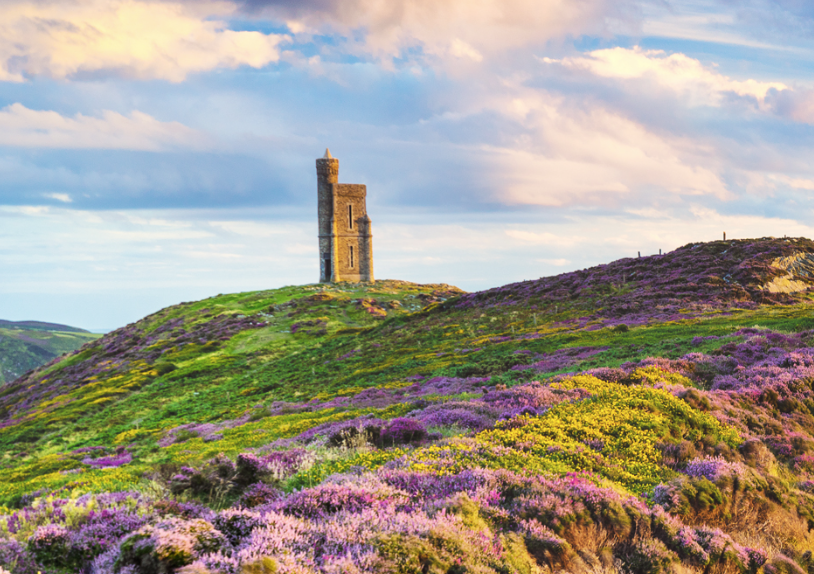 Cavendish Trust Company Limited