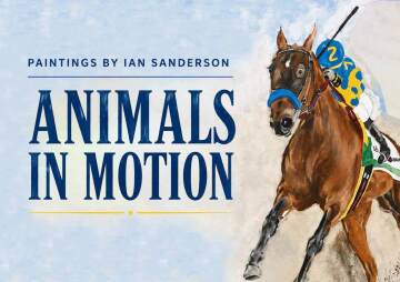 Animals in Motion
