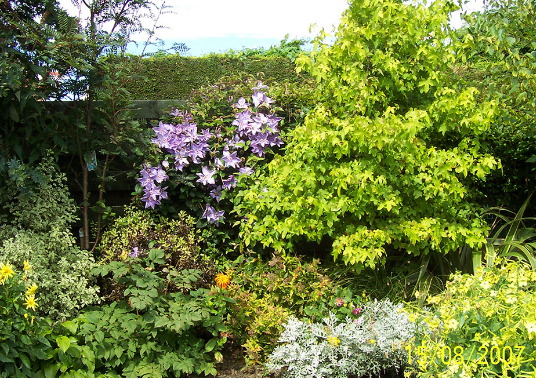 Green Gardens Gardening Professionals