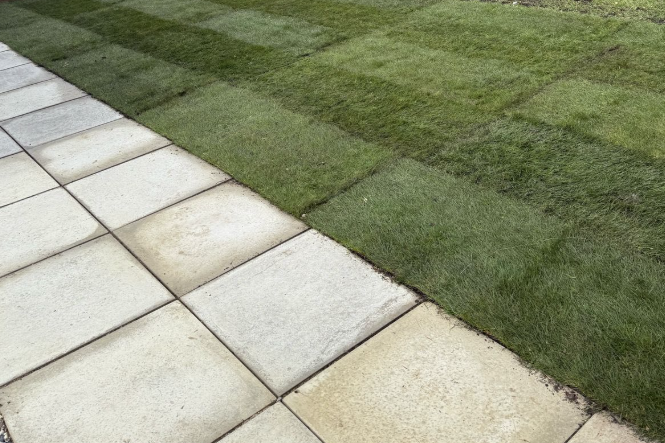 CSG Services Ltd