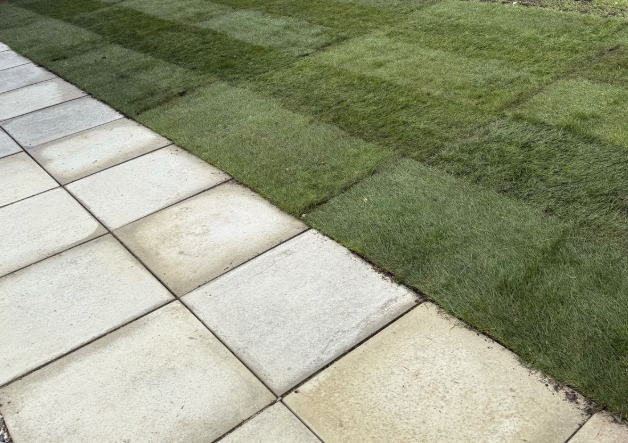 CSG Services Ltd