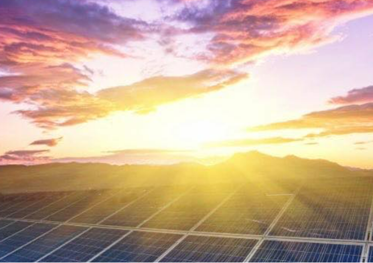 Ardern & Druggan Ltd