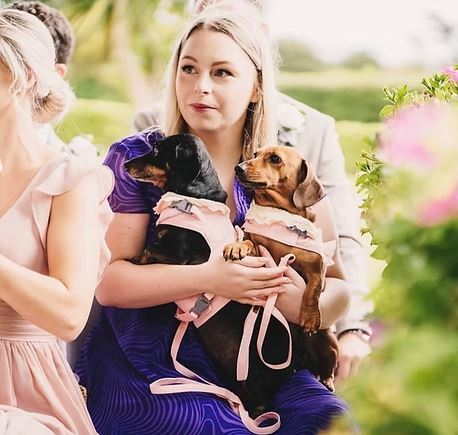 Care and Cuddles Pet Services