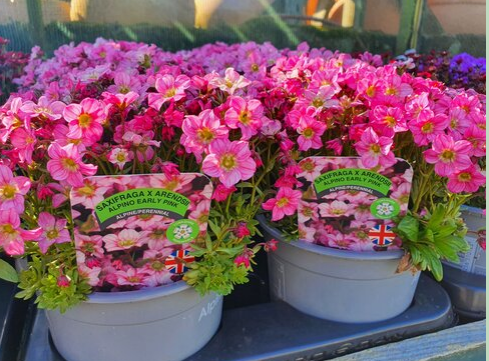 Kirby Park Garden Centre & Coffee Shop