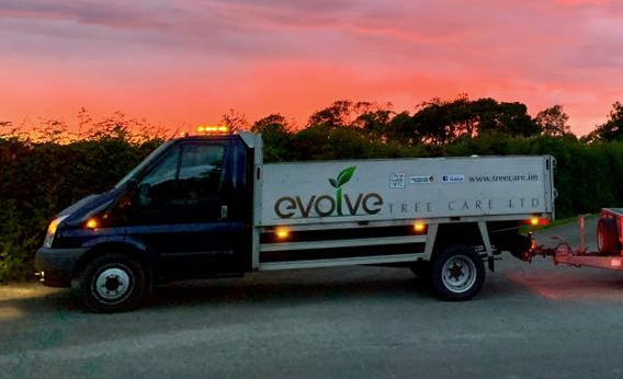 Evolve Tree Care