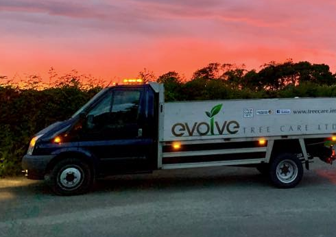 Evolve Tree Care