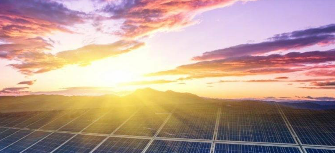 Ardern & Druggan Ltd