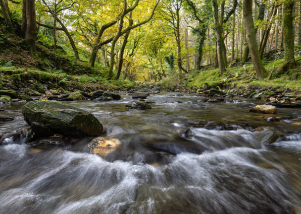 James Brew Photography