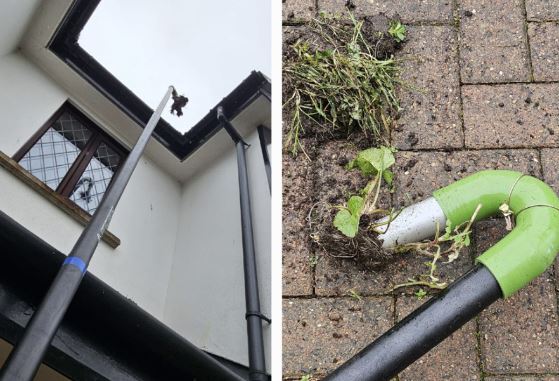 Siscaro Property Solutions Limited