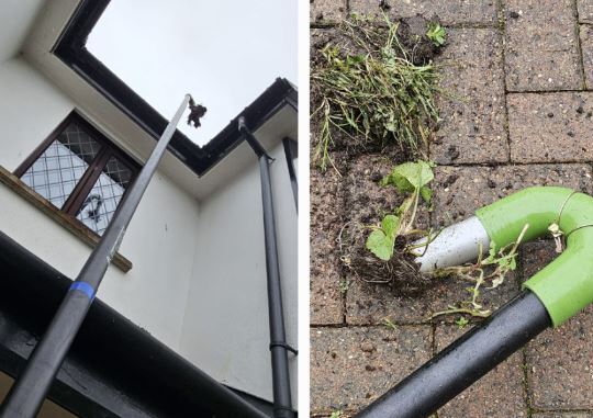 Siscaro Property Solutions Limited