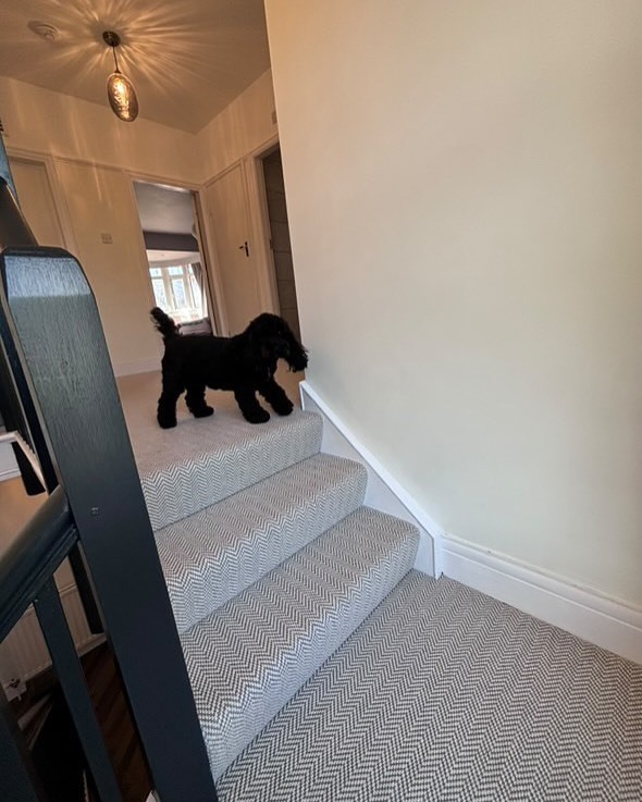 DNL Flooring