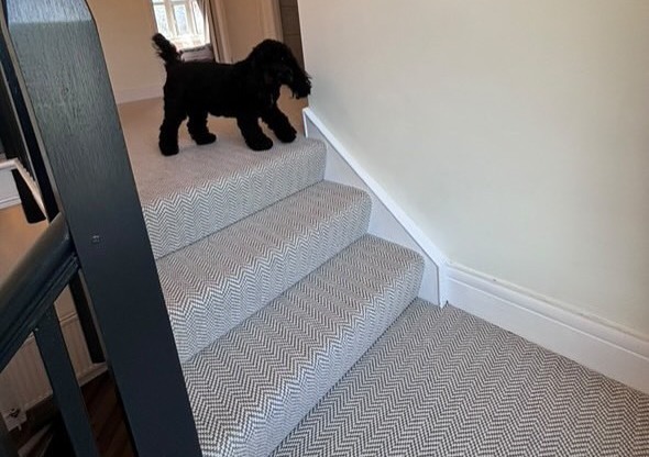 DNL Flooring
