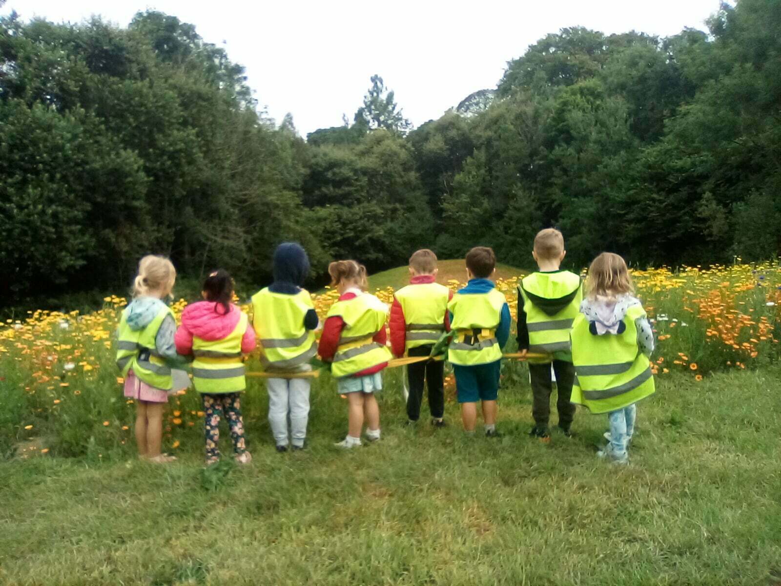 Little Cherubs Nature Kindergarten