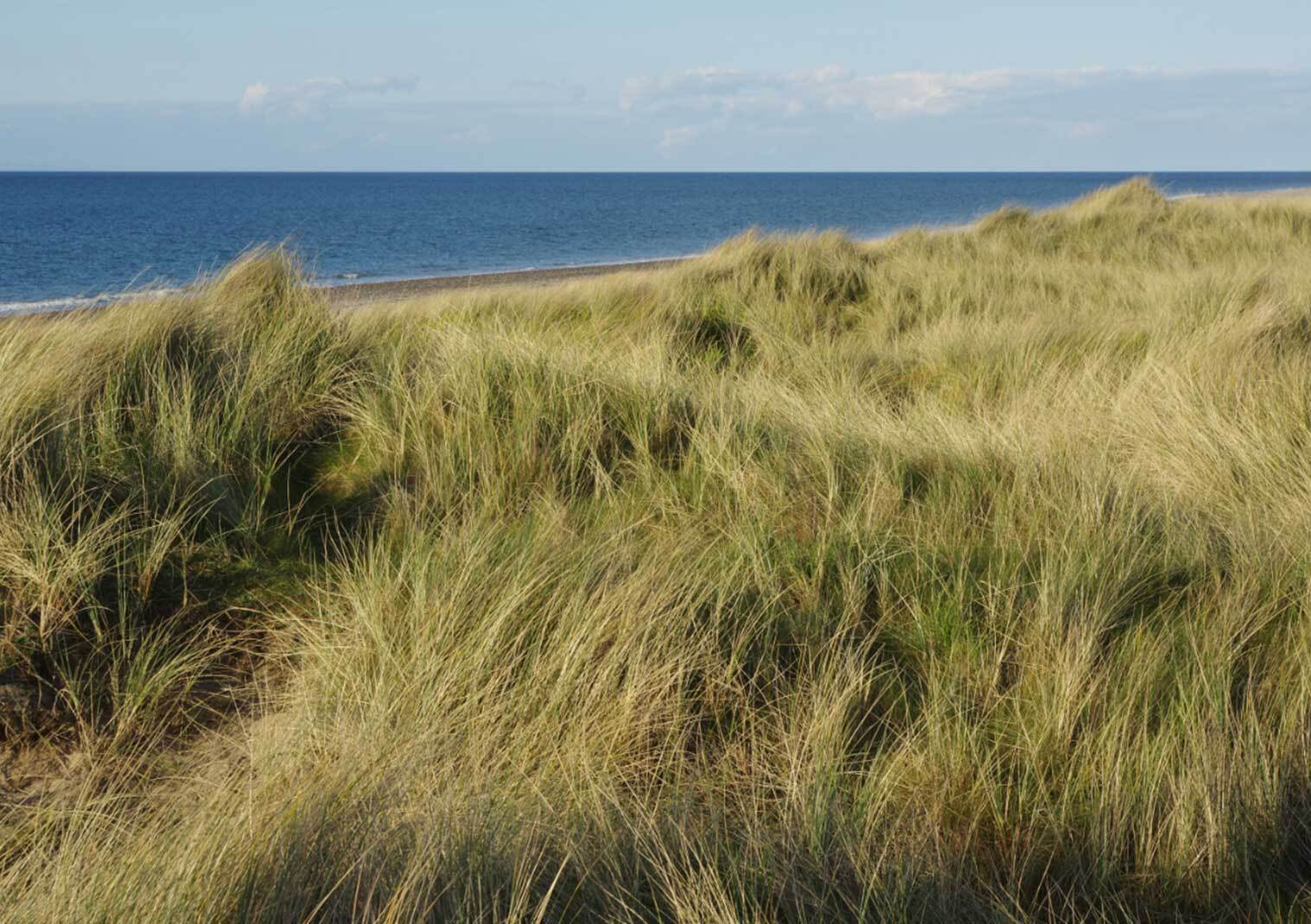 The Ayres National Nature Reserve