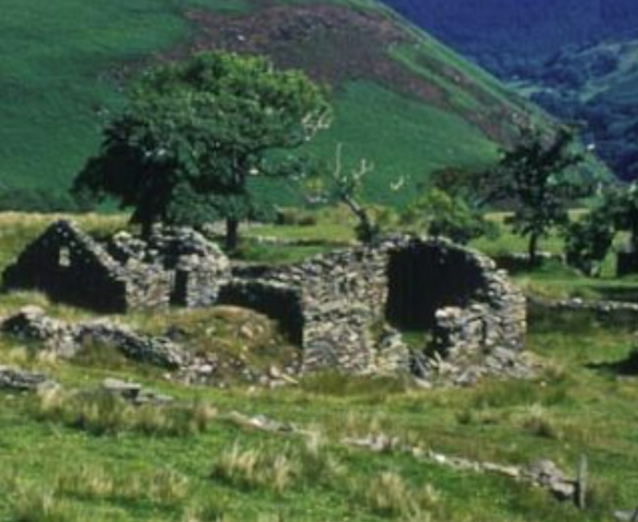 Fedelta Trust Limited