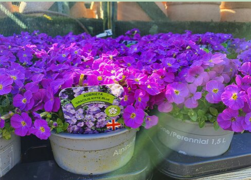 Kirby Park Garden Centre & Coffee Shop