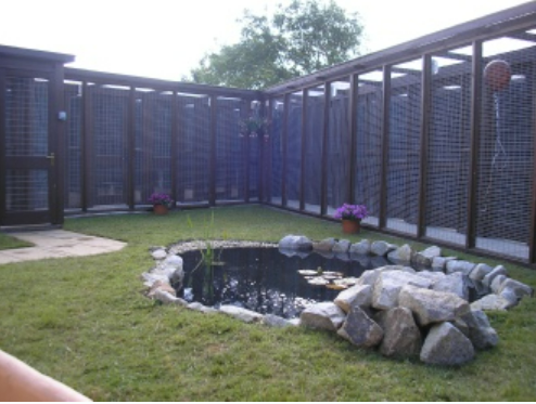 Ballagale Boarding Cattery