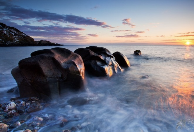 Shearwater Recruitment