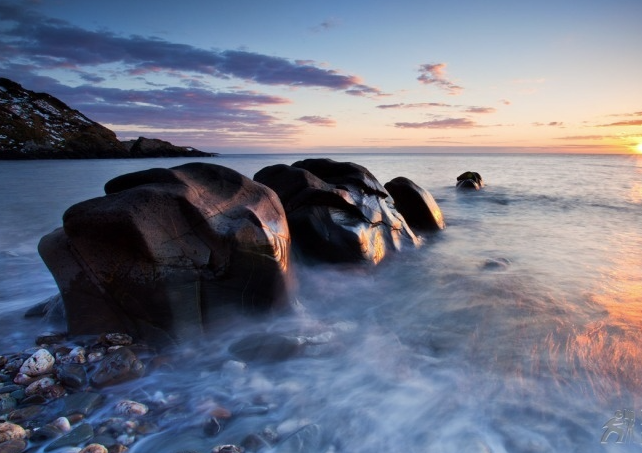 Shearwater Recruitment