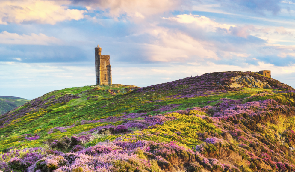 Cavendish Trust Company Limited