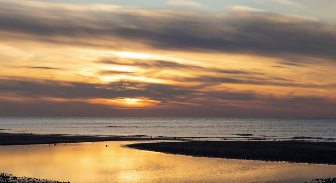 Lucia Dickson Photography