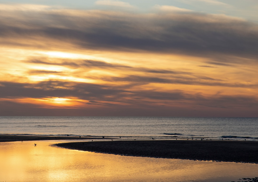 Lucia Dickson Photography