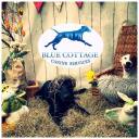 Blue Cottage Canine Services