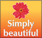 Simply Beautiful