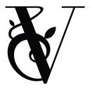 Venetian Plaster Company Isle of Man